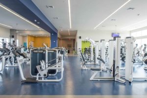discount online fitness sells freemotion