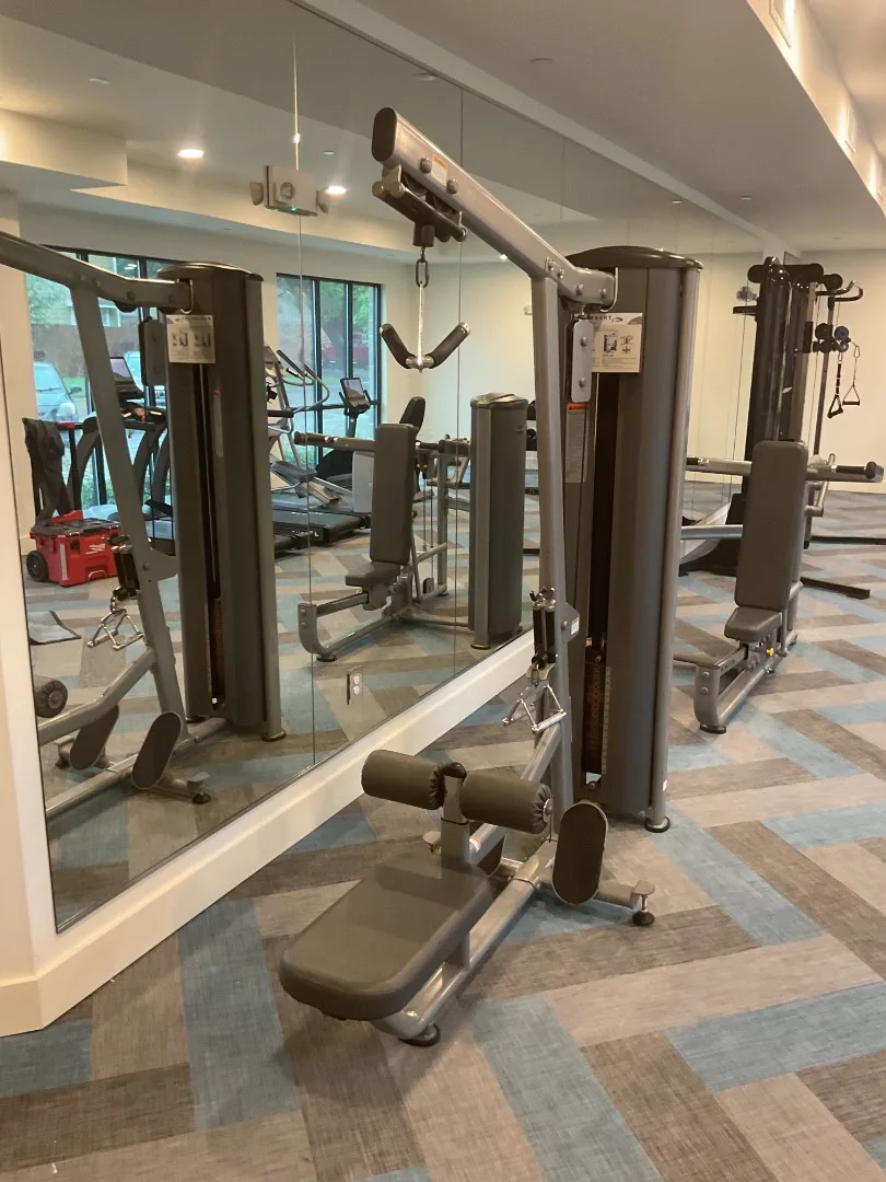 Selectorized lat pulldown and low-row station in front of the full-length mirrors