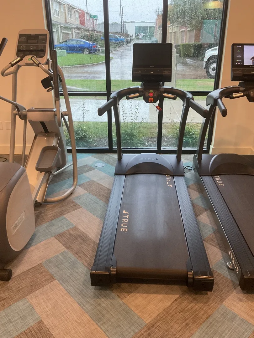 True touchscreen treadmills installed along a window wall