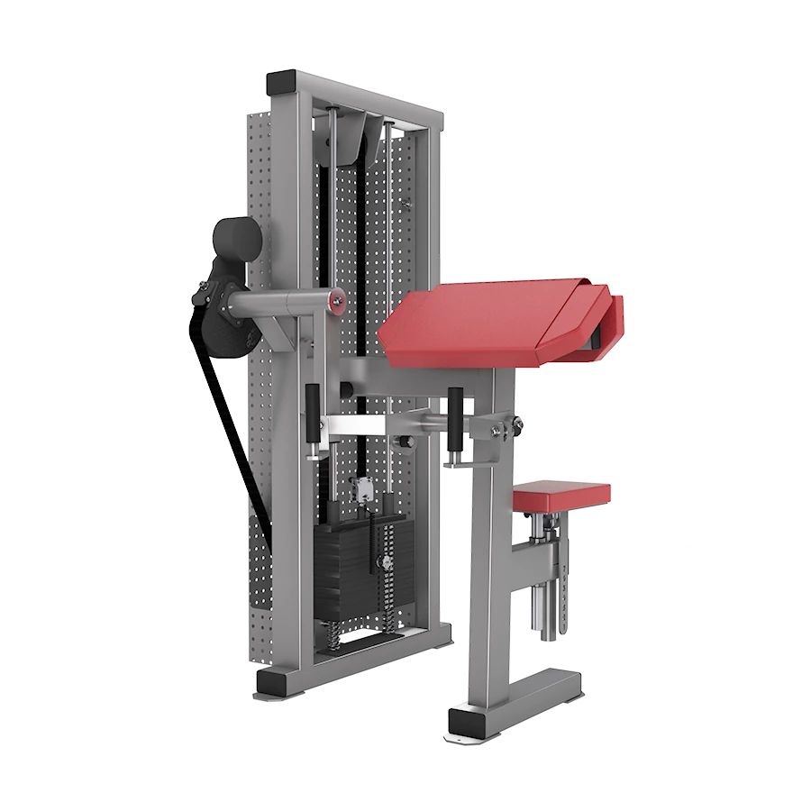 gym80 80CL0009 Biceps Curl Machine