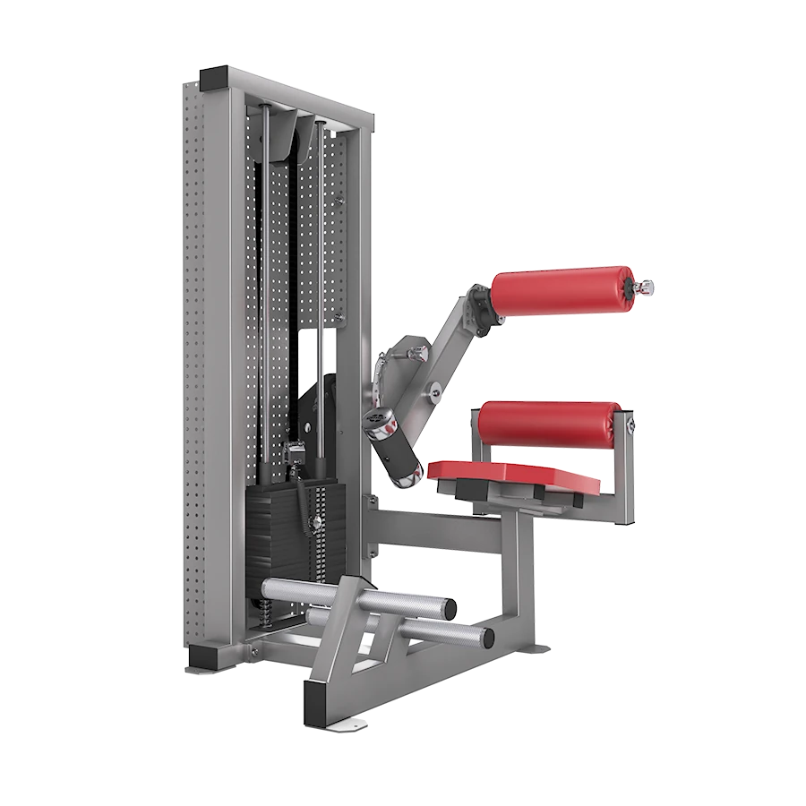 gym80 80CL0006 Lower Back Machine