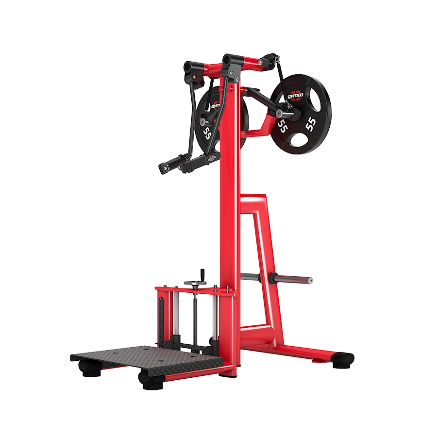 gym80 4385 Standing Shoulder Lateral Raise