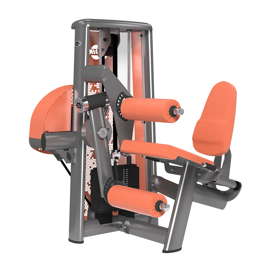 gym80 5013 Leg Extension & Leg Curl Machine