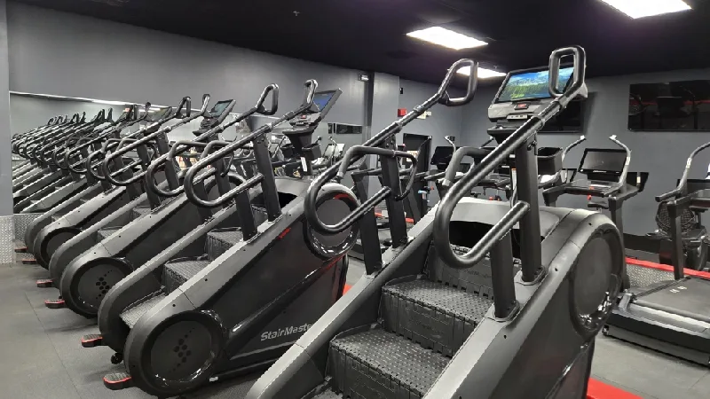 Row of StairMaster stepmills on a commercial gym floor