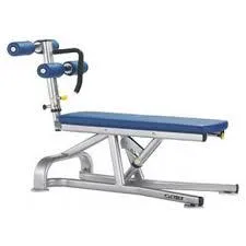 Cybex Bent Leg Ab Bench - U