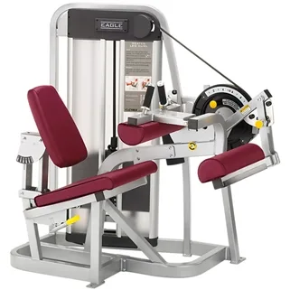 Cybex Eagle Seated Leg Curl - U