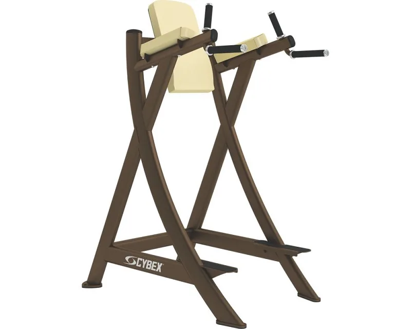 Cybex Vertical Knee Raise-U