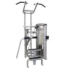Cybex VR3 Chin Dip Assit-U