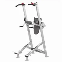 Hoist Fitness HF5962 Vertical Knee Raise Fitness Tree - U