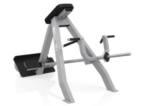 Precor Icarian Incline Lever Row - U
